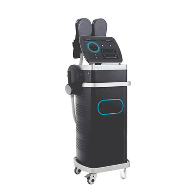 Ems Mesin Harga Ems Otot Mesin Ukiran Tubuh / RF Elektromagnetik Mesin Ukiran Tubuh Ems