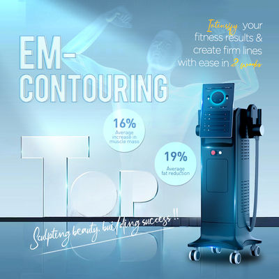 Ems Mesin Harga Ems Otot Mesin Ukiran Tubuh / RF Elektromagnetik Mesin Ukiran Tubuh Ems